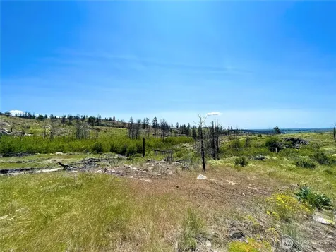 0 Madd Mtn Road Okanogan WA 98840