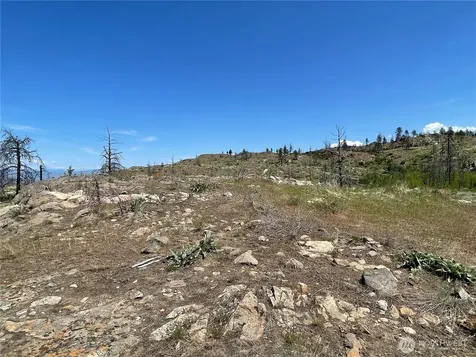 0 Madd Mtn Road Okanogan WA 98840