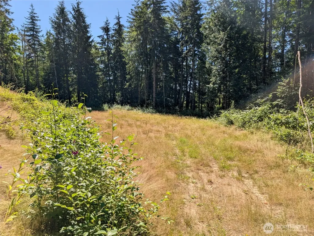 4476 Stoney Brook Lane Bellingham WA 98229