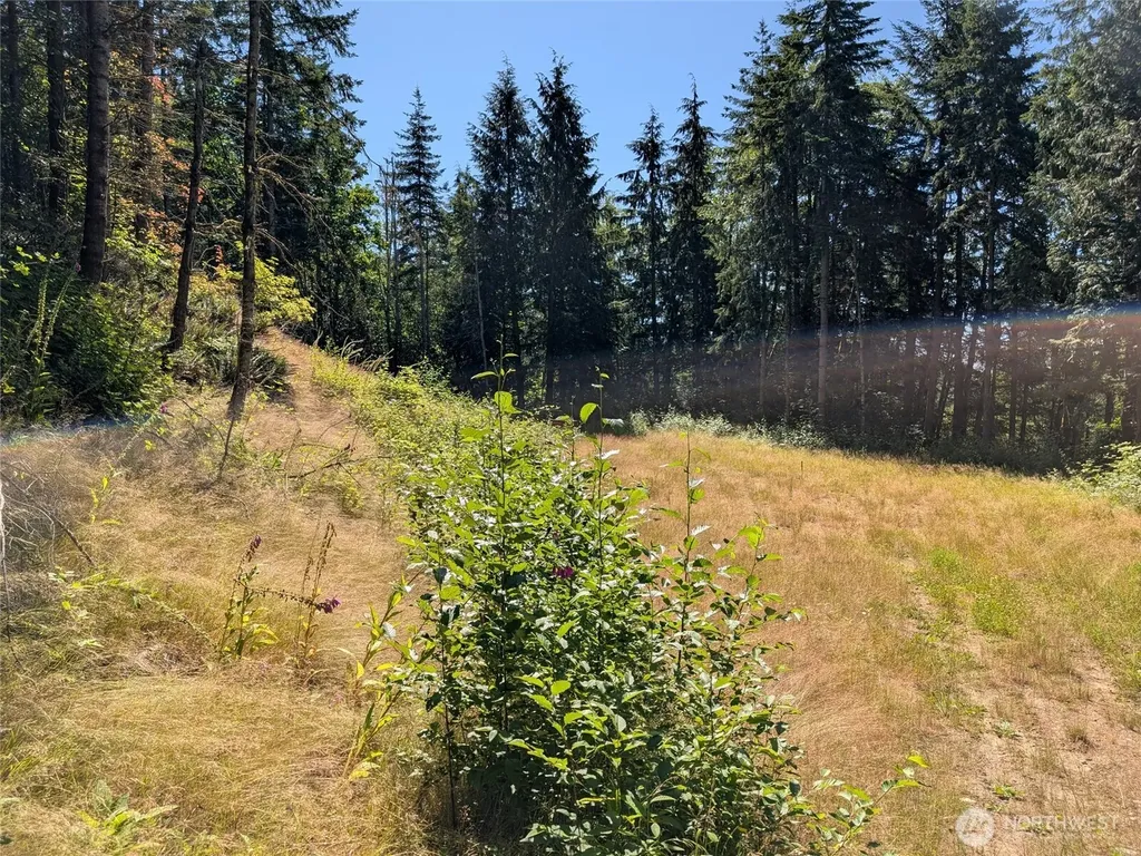 4476 Stoney Brook Lane Bellingham WA 98229