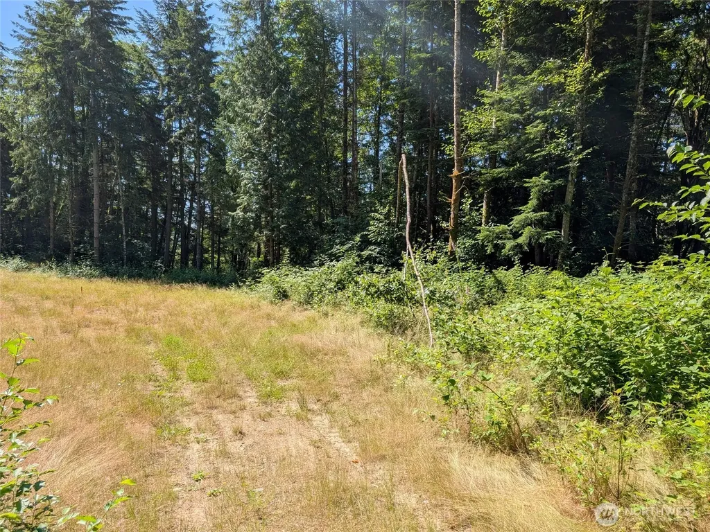 4476 Stoney Brook Lane Bellingham WA 98229