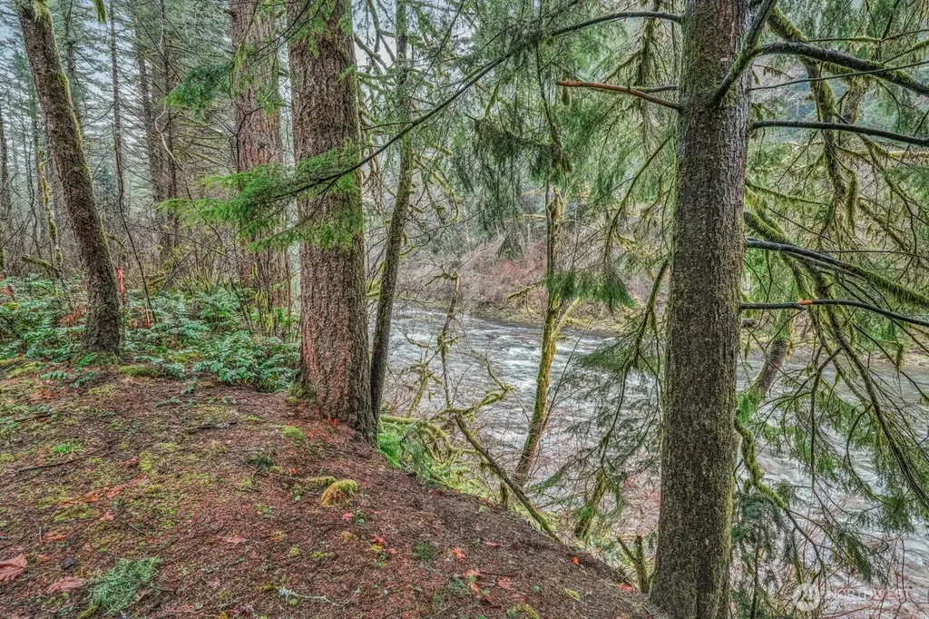 15202 Washougal River Road Washougal WA 98671