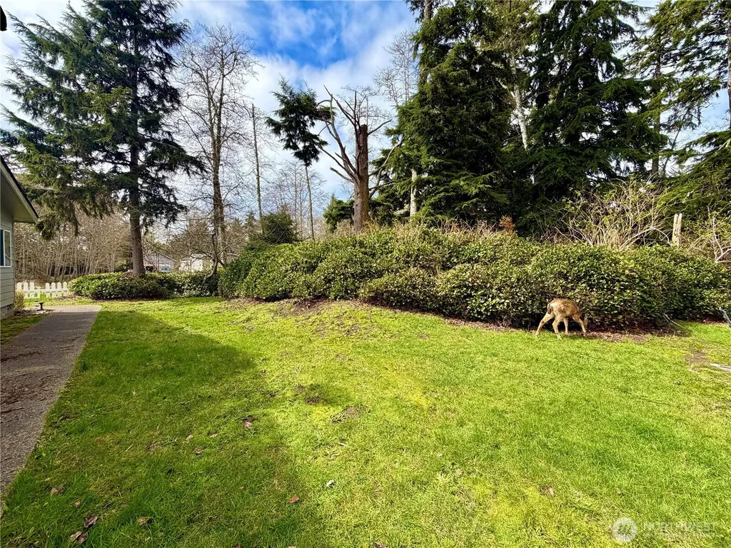 620 Chenois Avenue NE Ocean Shores WA 98569