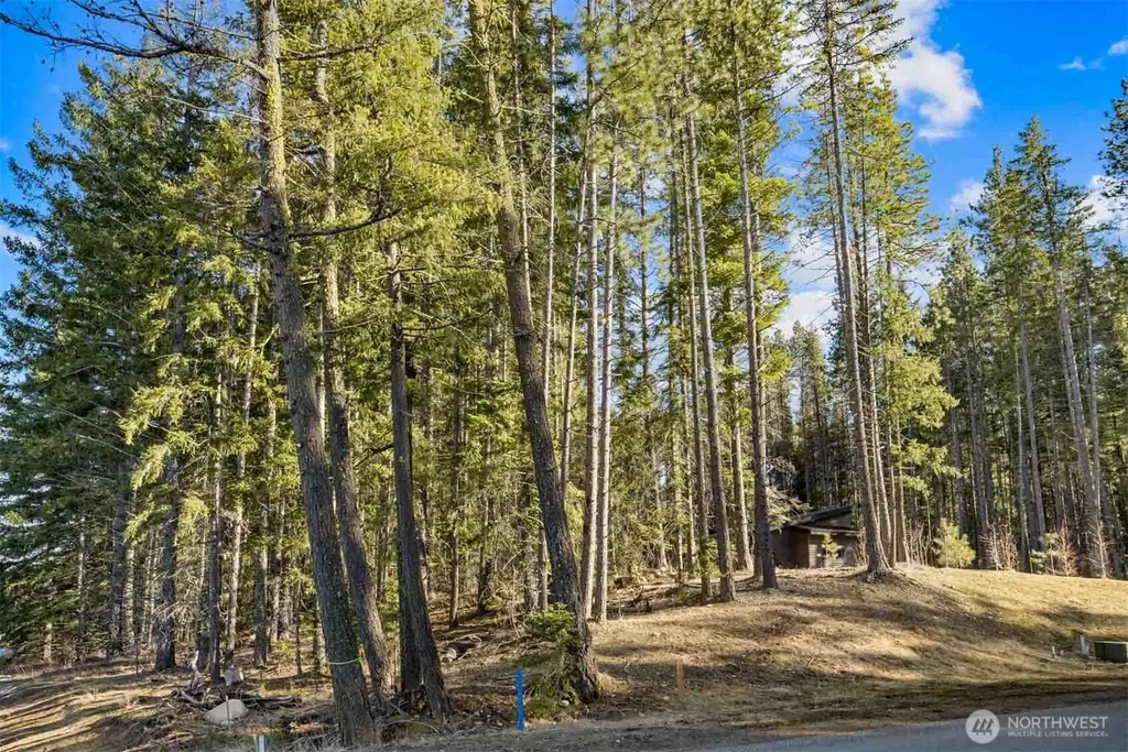 7 Tumble Creek Drive Cle Elum WA 98922