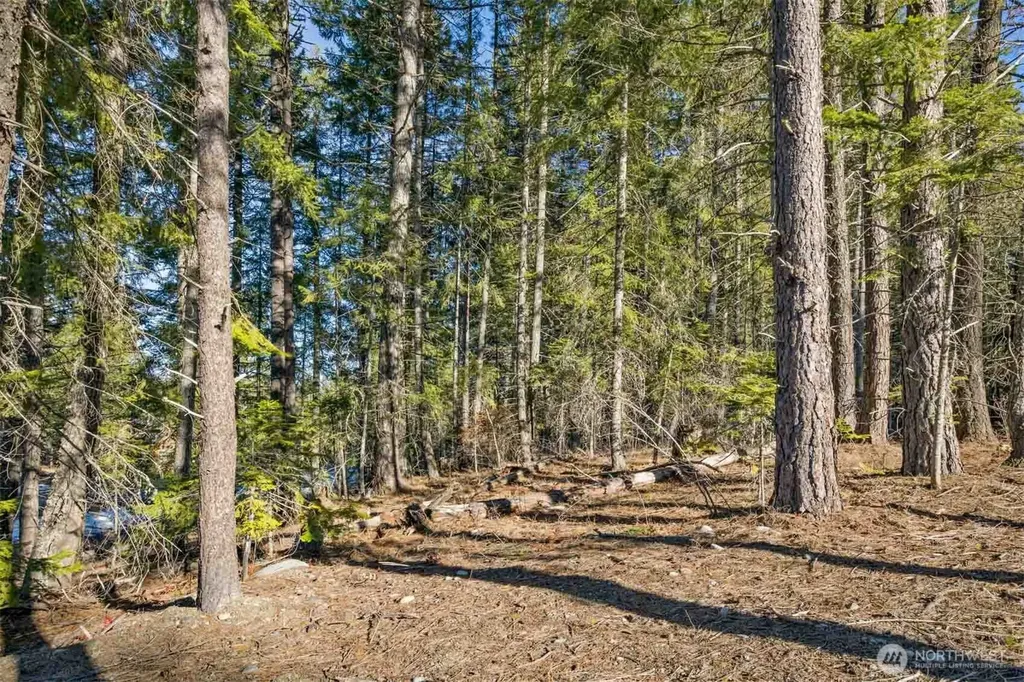 7 Tumble Creek Drive Cle Elum WA 98922