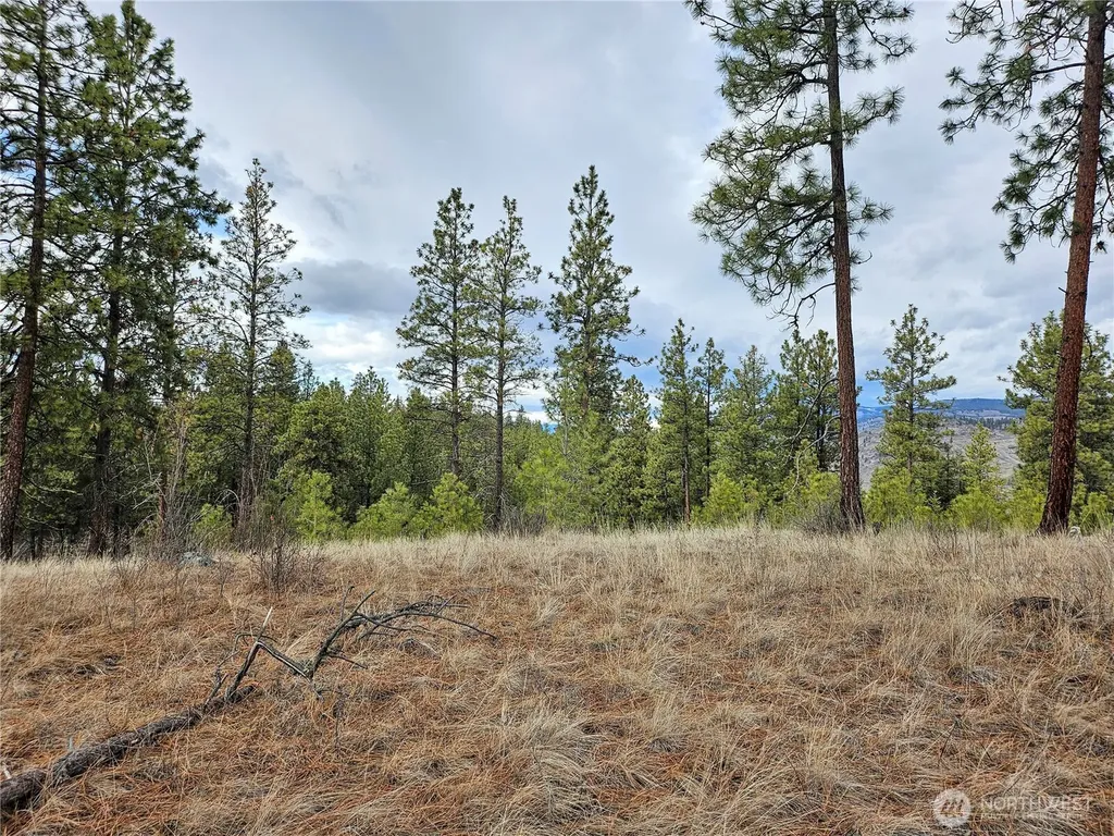 315 W Corral Drive Oroville WA 98844