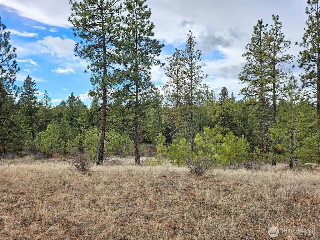 315 W Corral Drive Oroville WA 98844