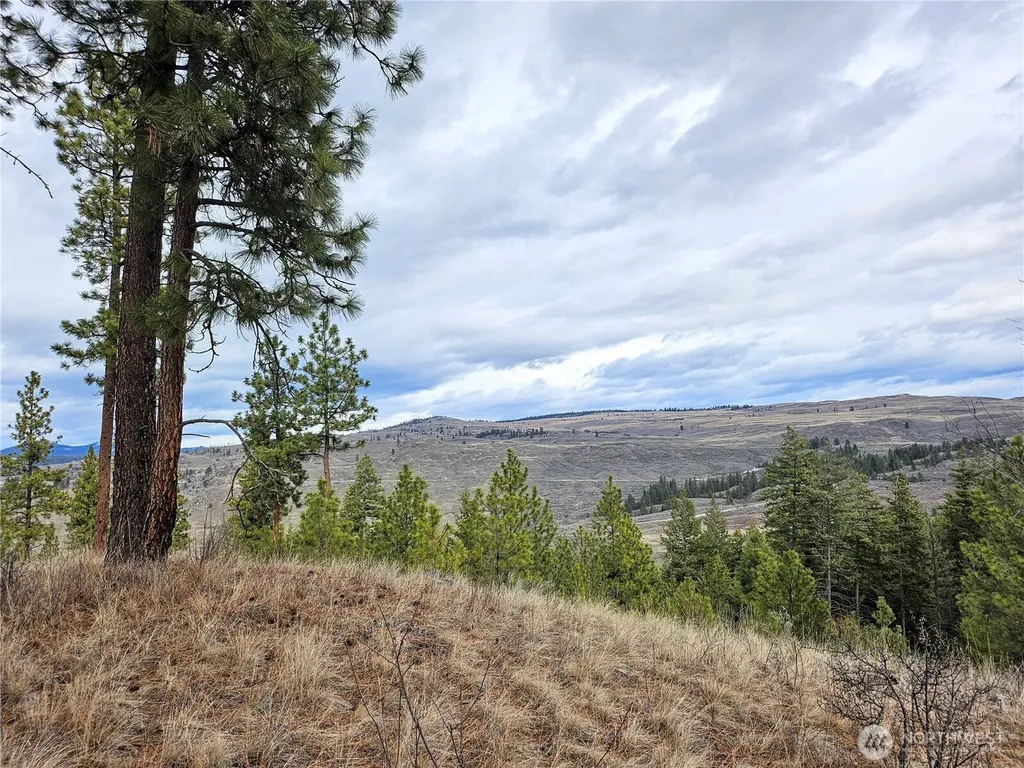 315 W Corral Drive Oroville WA 98844