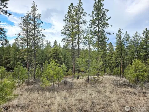315 W Corral Drive Oroville WA 98844