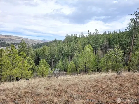 315 W Corral Drive Oroville WA 98844