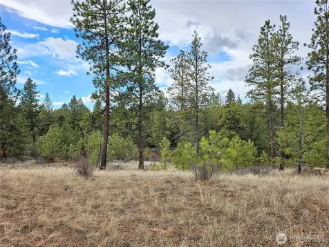 315 W Corral Drive Oroville WA 98844