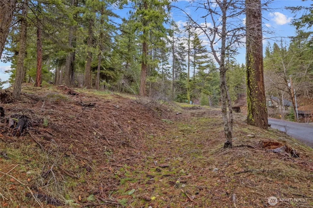 0 Pine Loch Sun Drive Ronald WA 98940