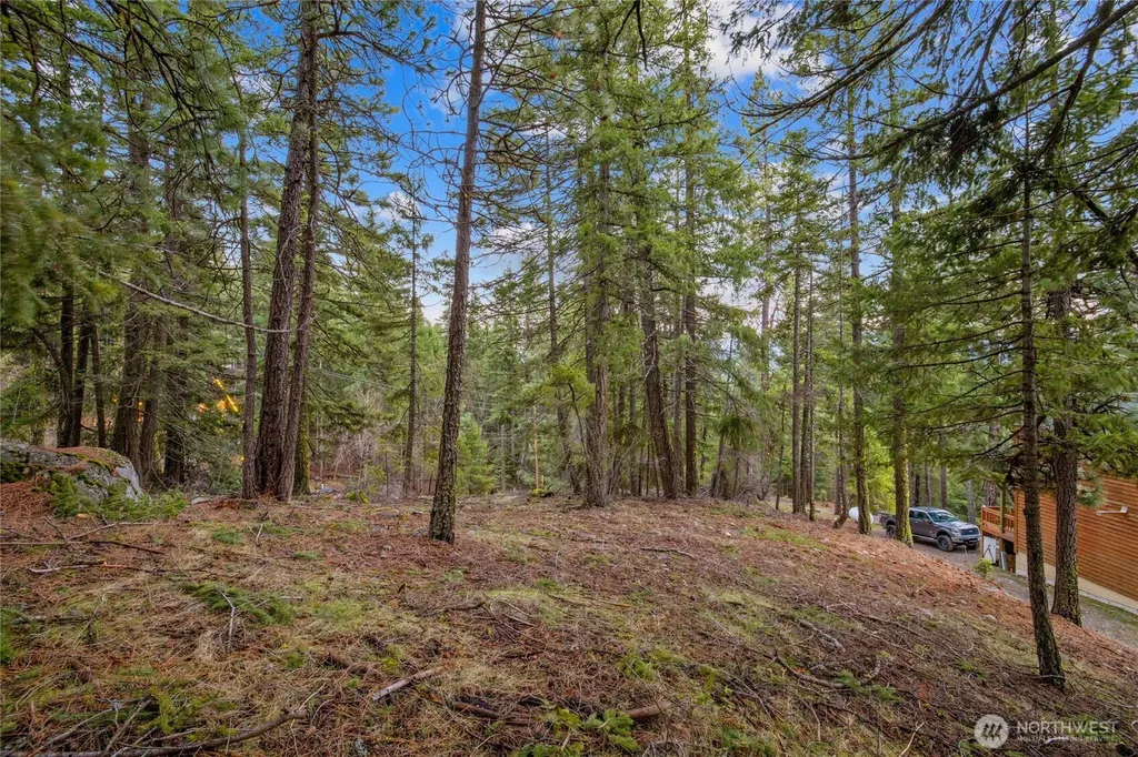 0 Pine Loch Sun Drive Ronald WA 98940