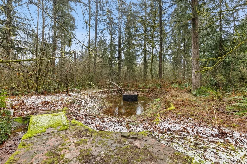 12828 314th Avenue NE Duvall WA 98019