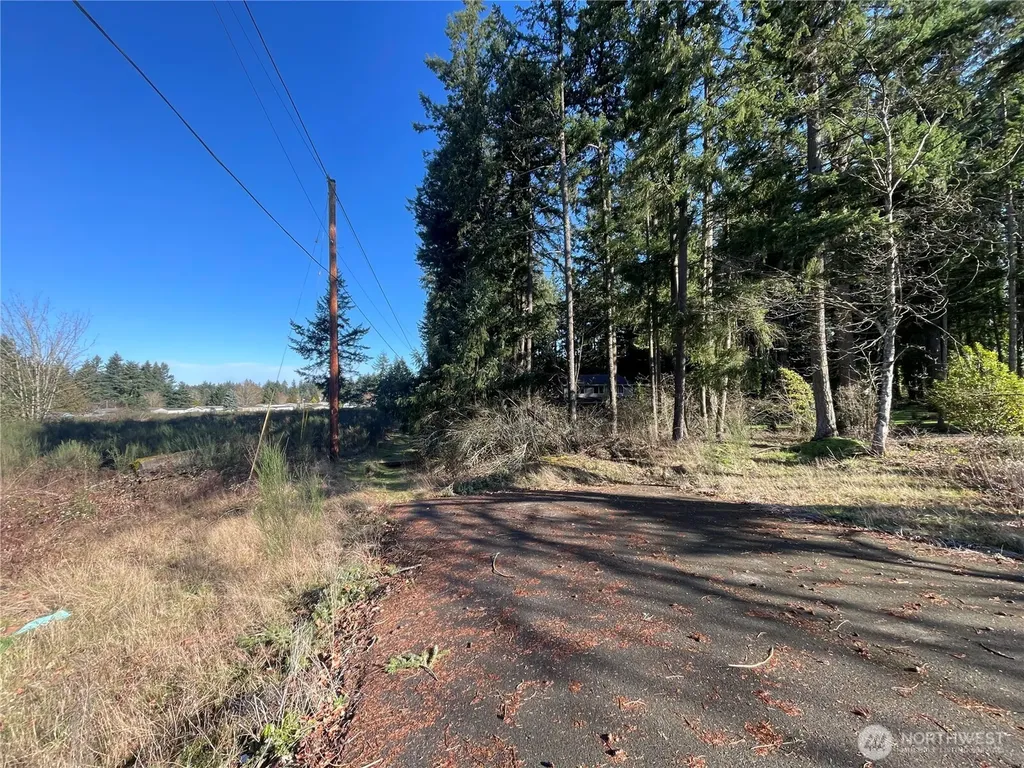 0 222nd Street E Graham WA 98338