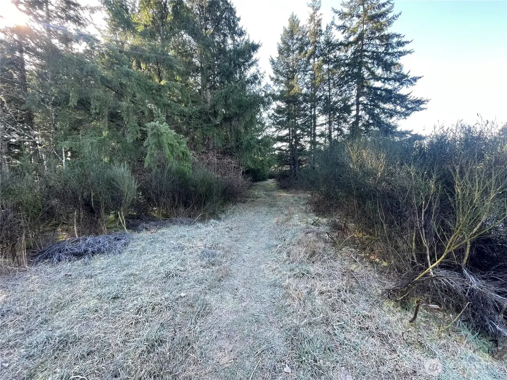 0 222nd Street E Graham WA 98338