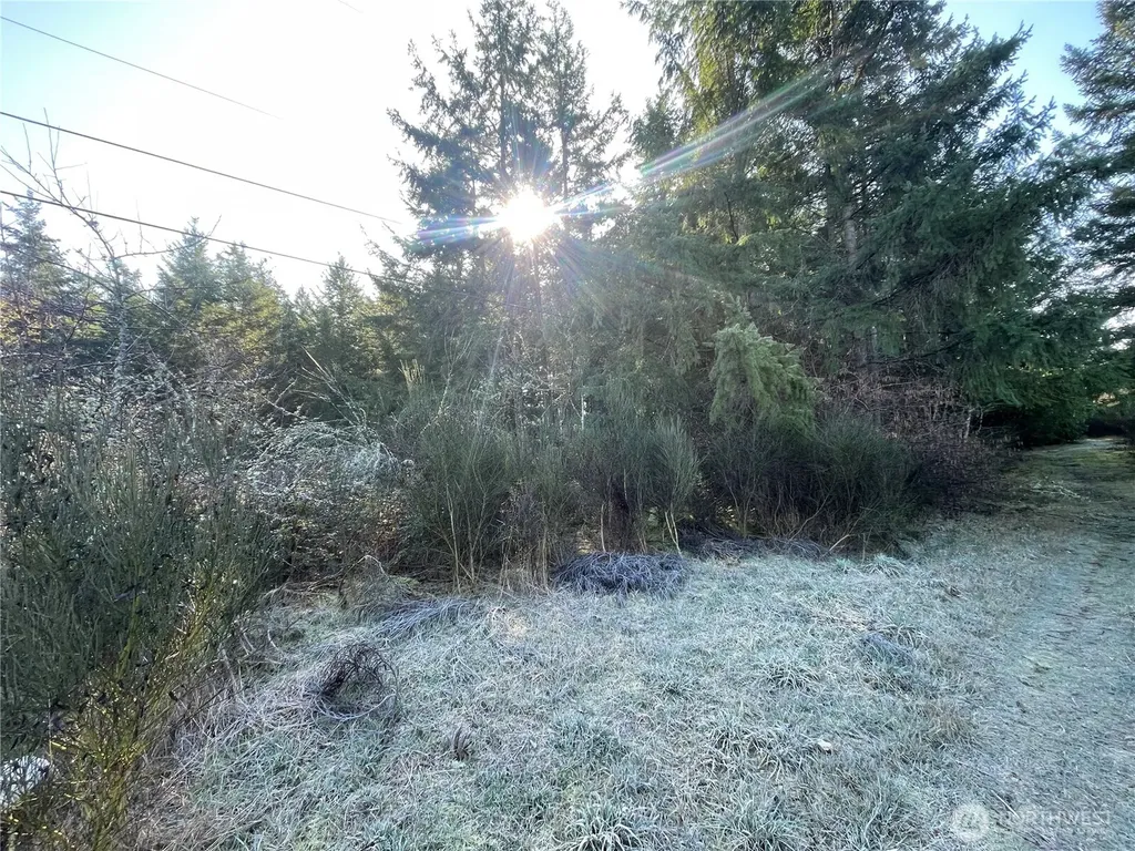 0 222nd Street E Graham WA 98338