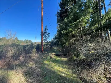 0 222nd Street E Graham WA 98338