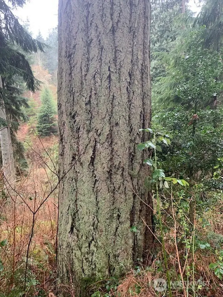 0 Hellman Road Clinton WA 98236
