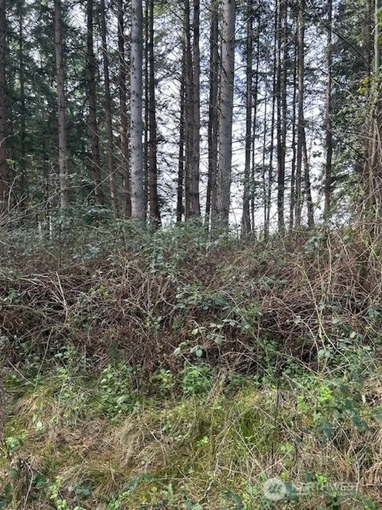 0 Hellman Road Clinton WA 98236