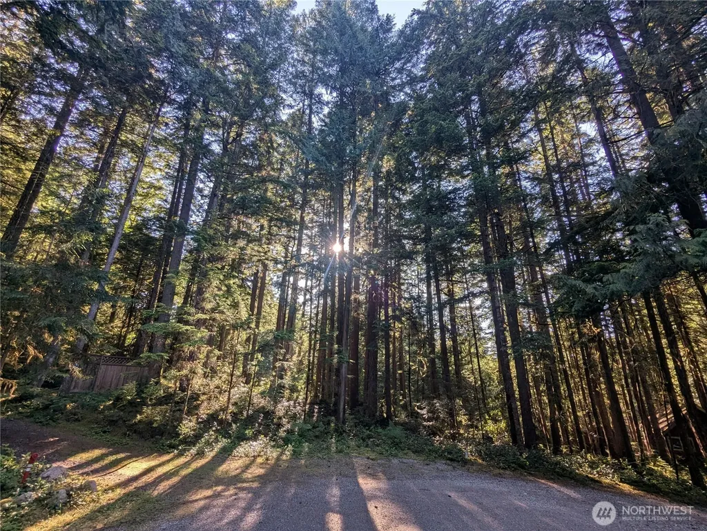 66 Skagit Way Marblemount WA 98267