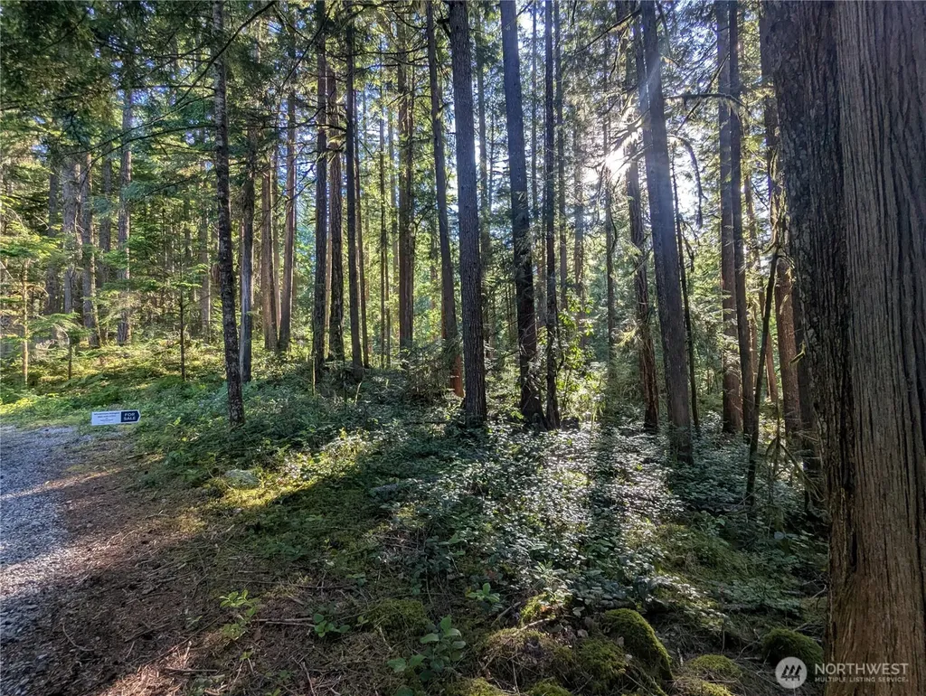 66 Skagit Way Marblemount WA 98267