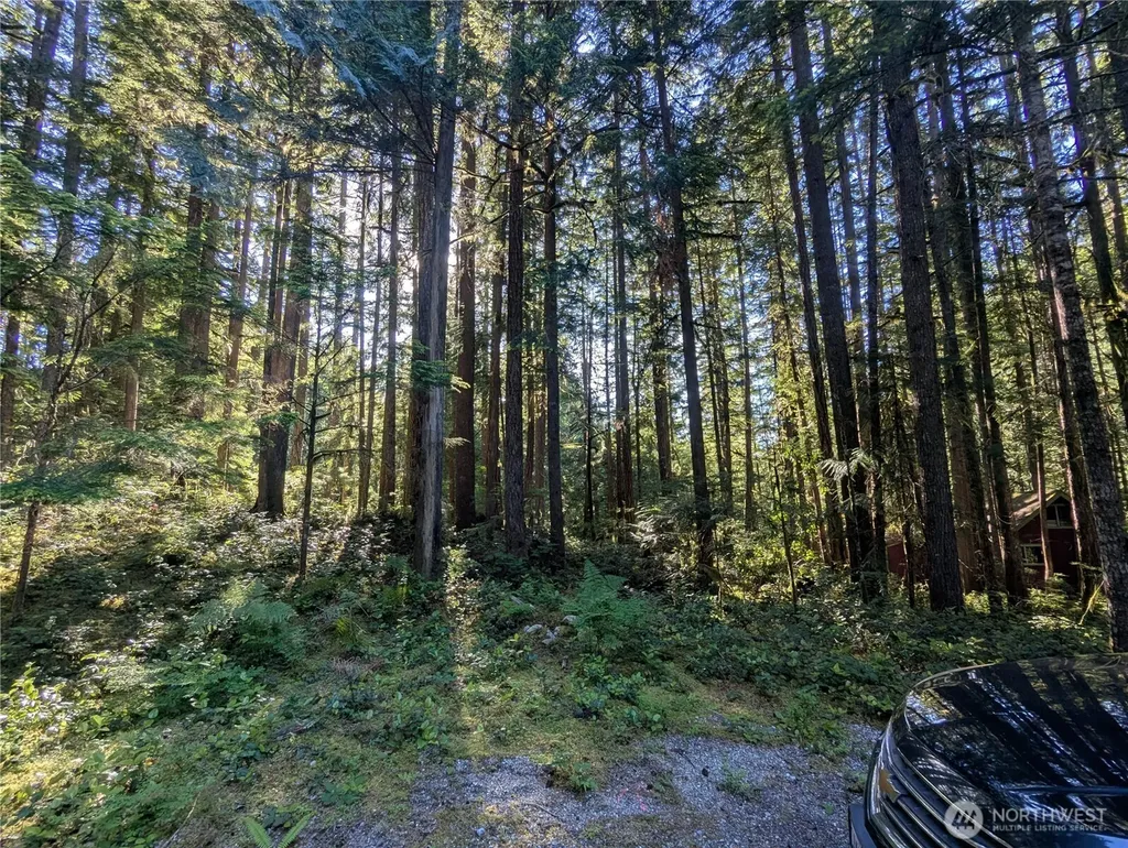 66 Skagit Way Marblemount WA 98267