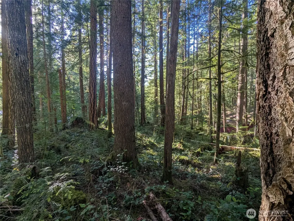 66 Skagit Way Marblemount WA 98267