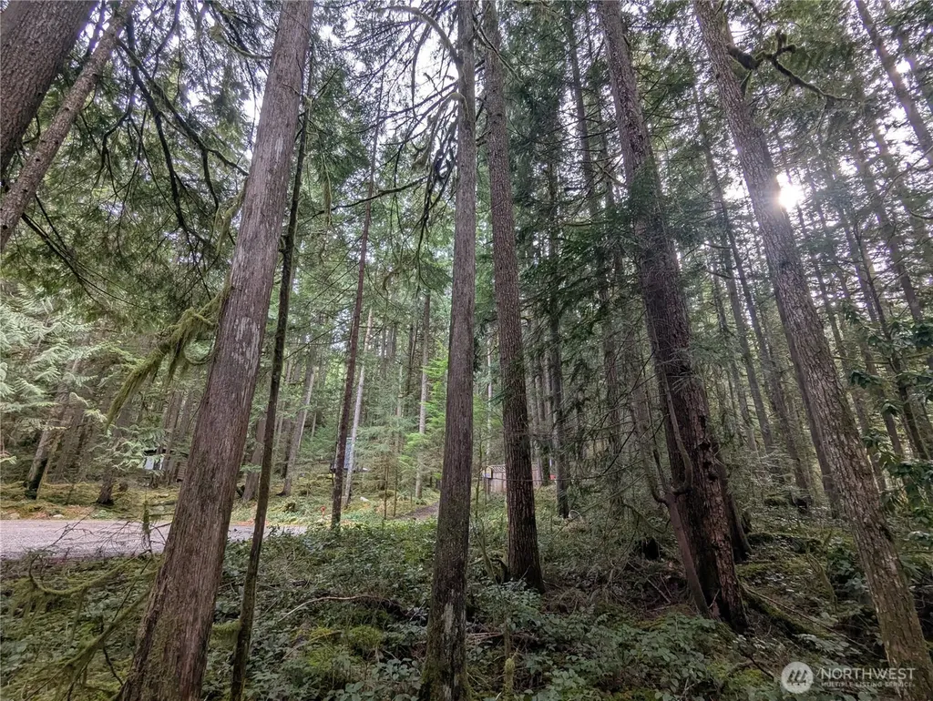 66 Skagit Way Marblemount WA 98267