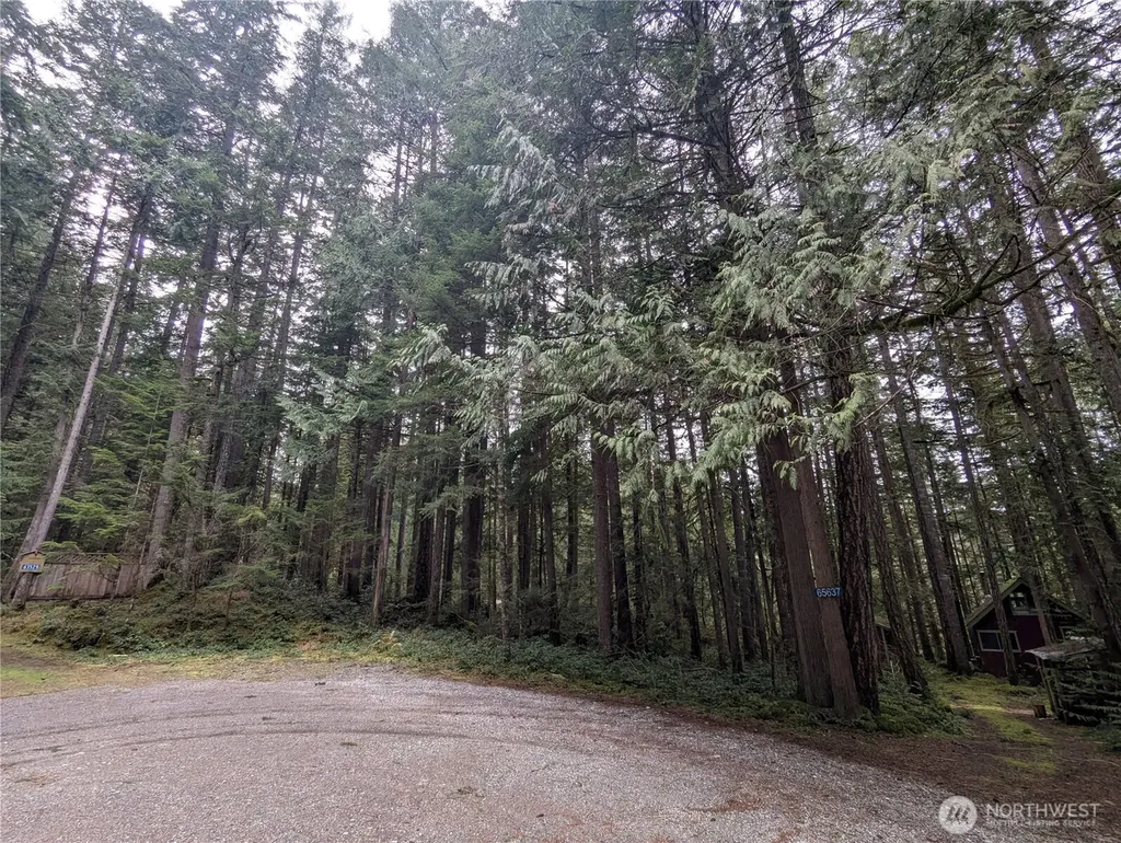 66 Skagit Way Marblemount WA 98267