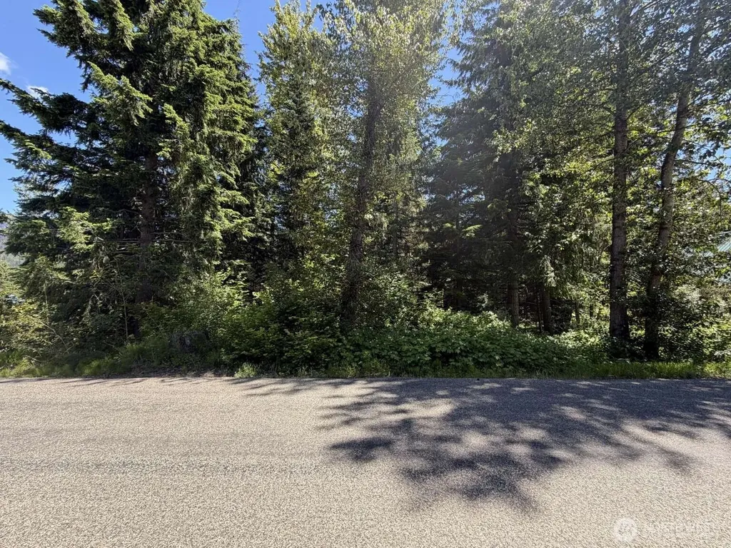 129 Chamonix Place Snoqualmie Pass WA 98068