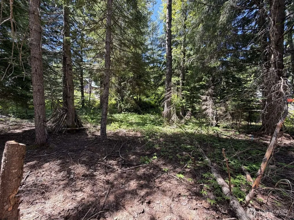 129 Chamonix Place Snoqualmie Pass WA 98068