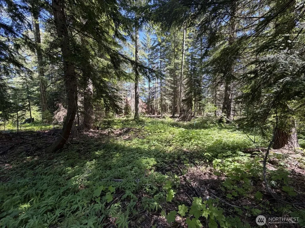 129 Chamonix Place Snoqualmie Pass WA 98068