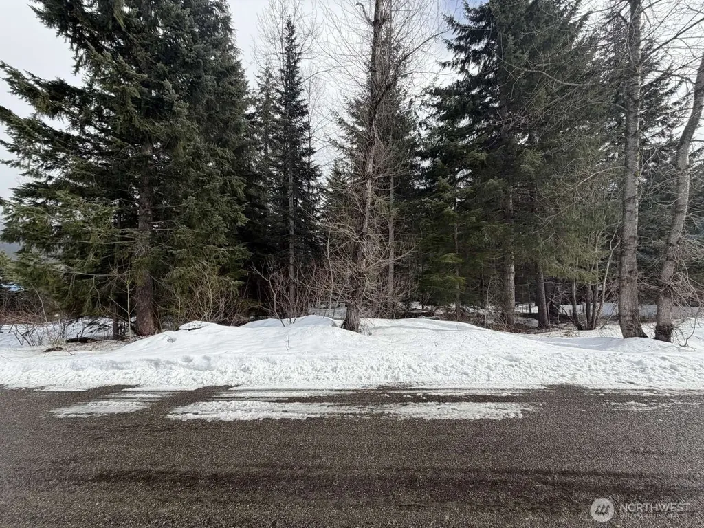 129 Chamonix Place Snoqualmie Pass WA 98068