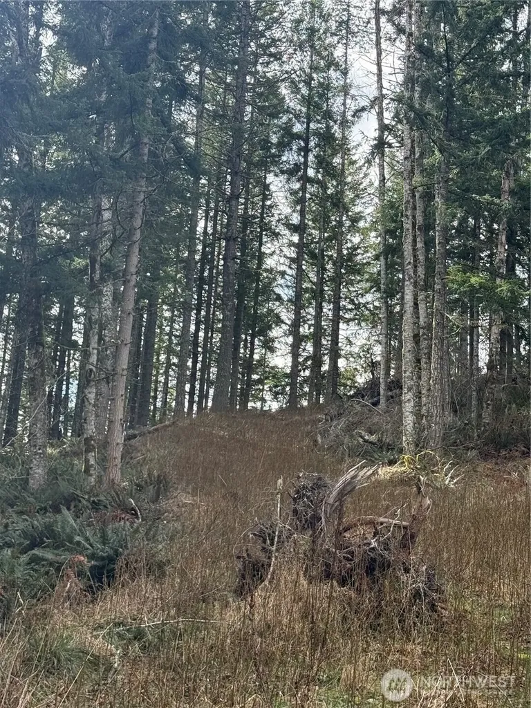 53007 128th Avenue E Eatonville WA 98328