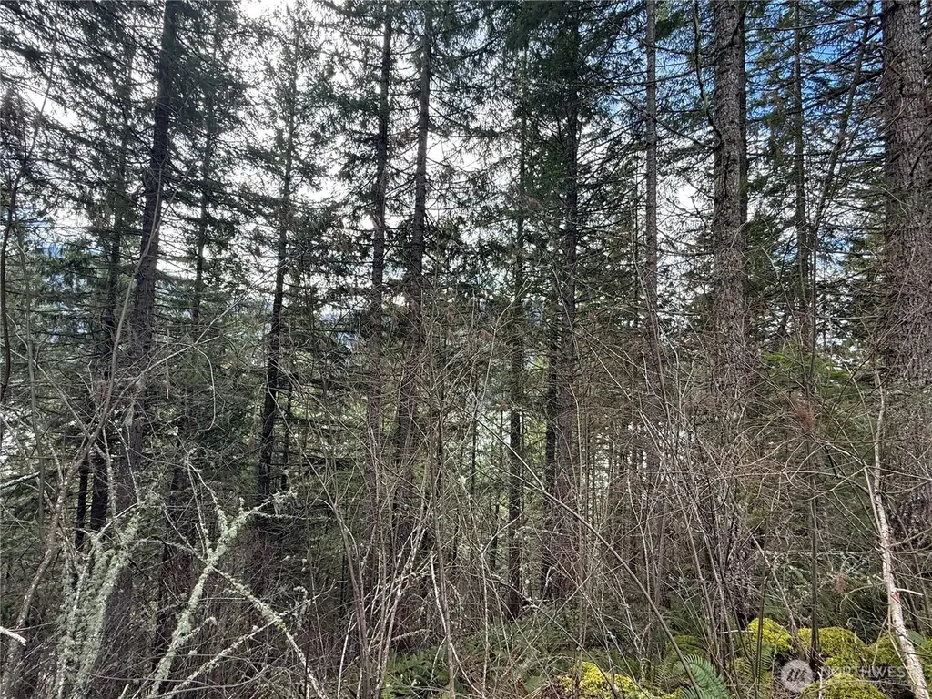 53007 128th Avenue E Eatonville WA 98328