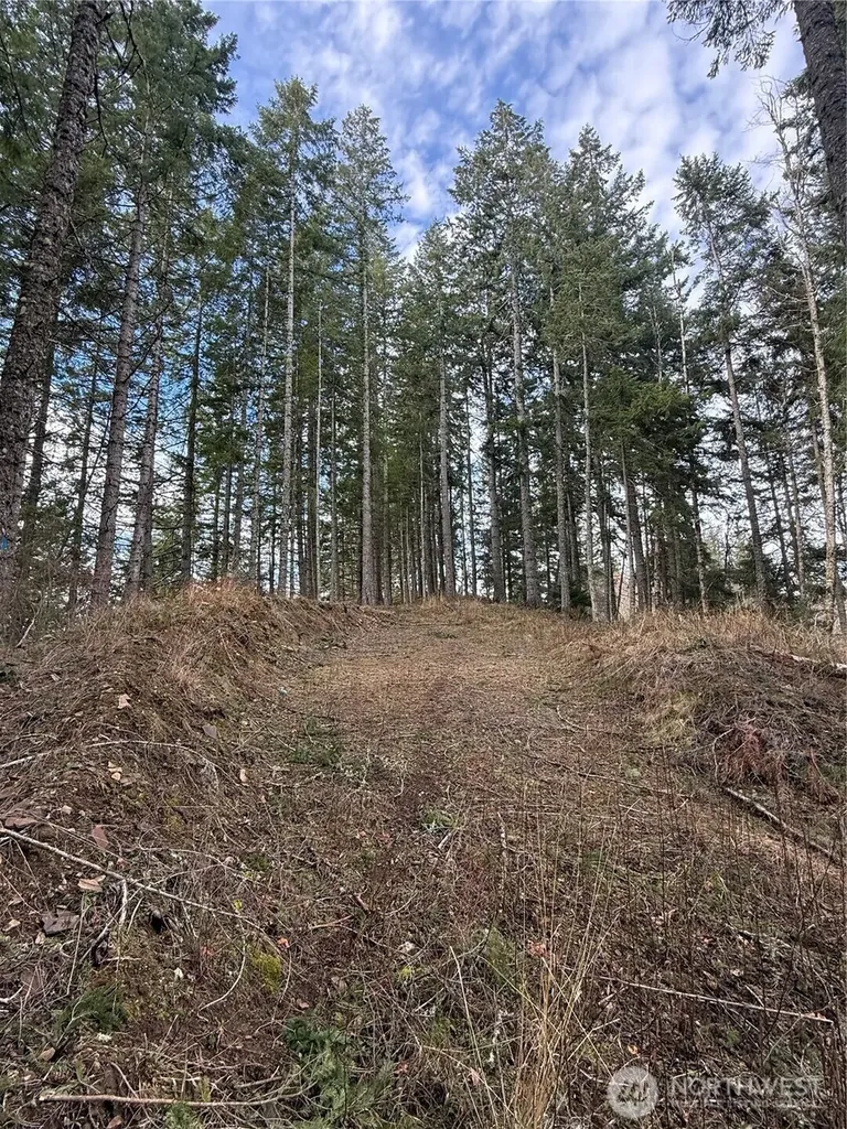 53007 128th Avenue E Eatonville WA 98328
