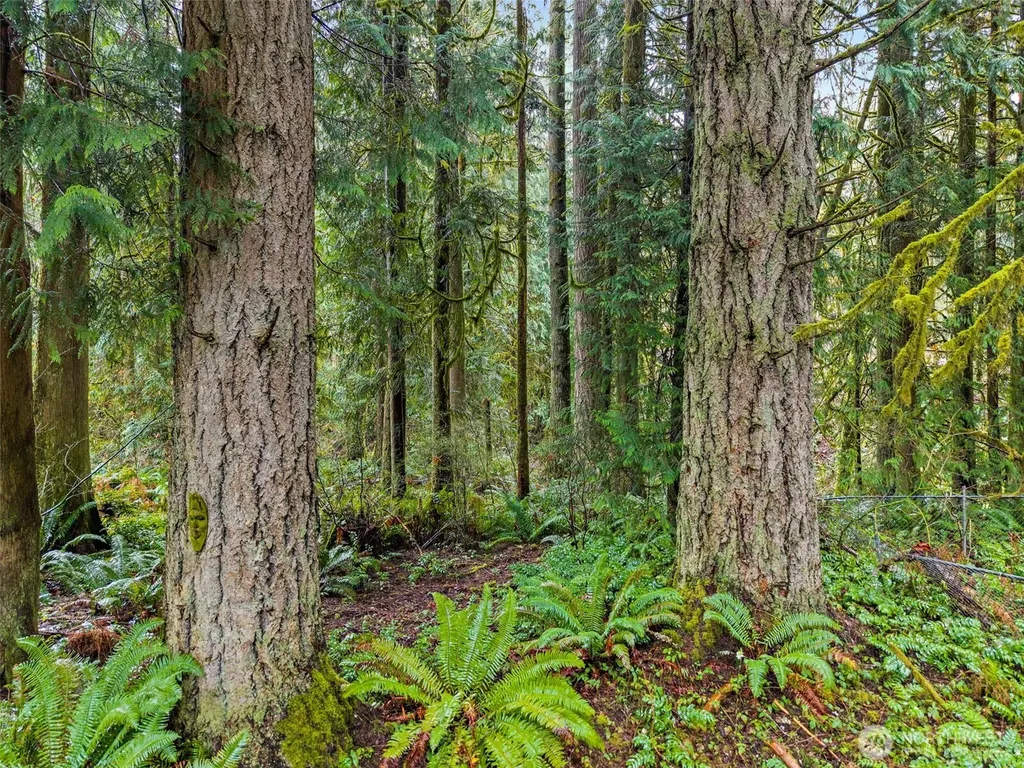 10618 Kelly Road NE Carnation WA 98014