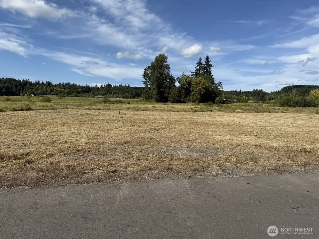 16 Sunburst Lane Onalaska WA 98570