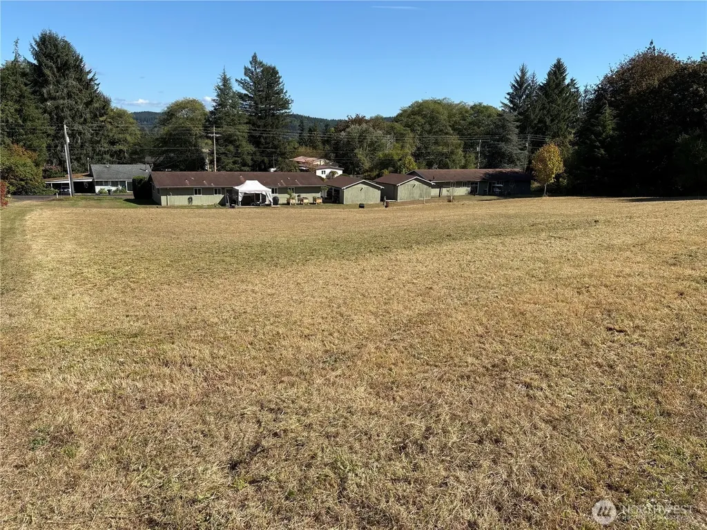 0 Clement Road Raymond WA 98577
