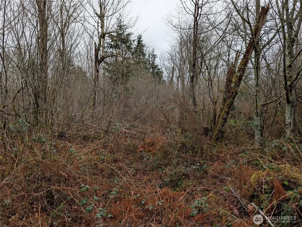 427 156th Street SE Gold Bar WA 98251