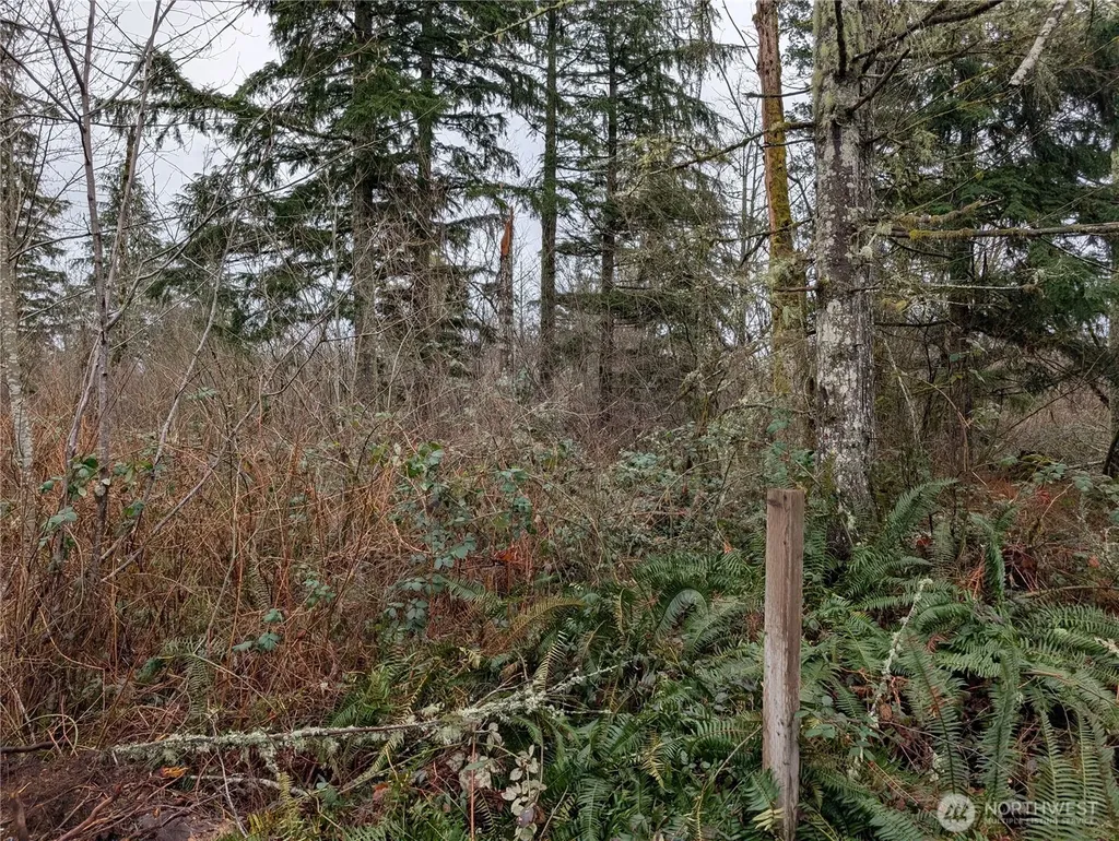 427 156th Street SE Gold Bar WA 98251