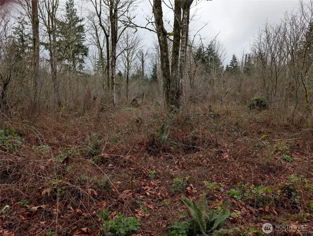 427 156th Street SE Gold Bar WA 98251