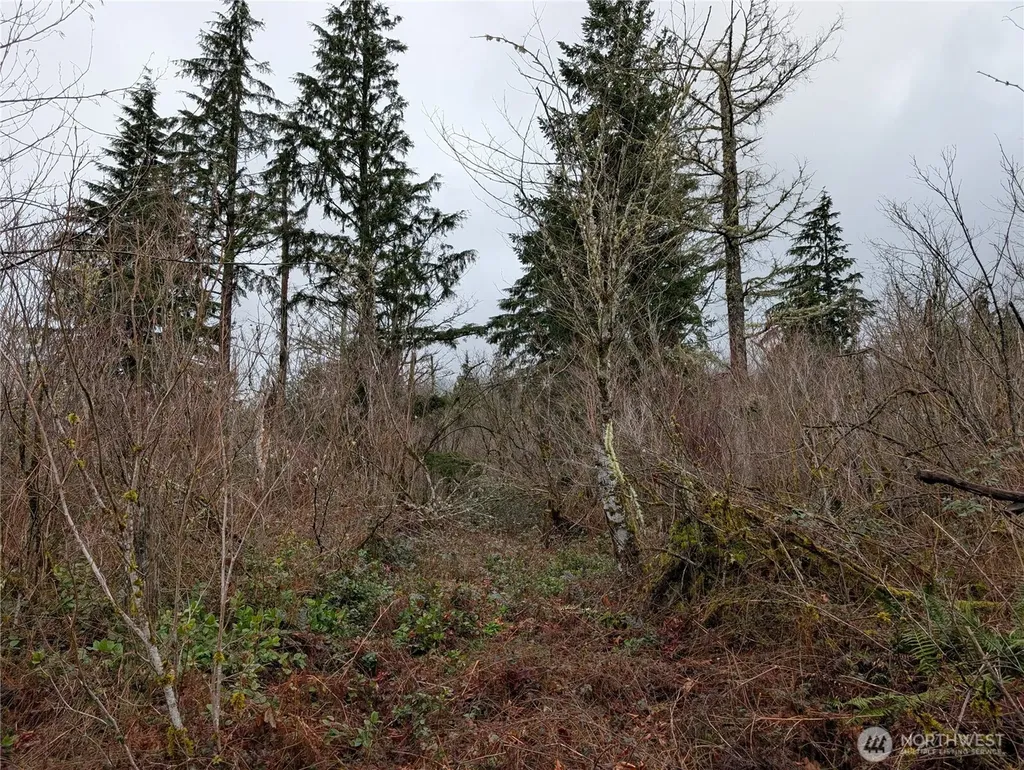 427 156th Street SE Gold Bar WA 98251