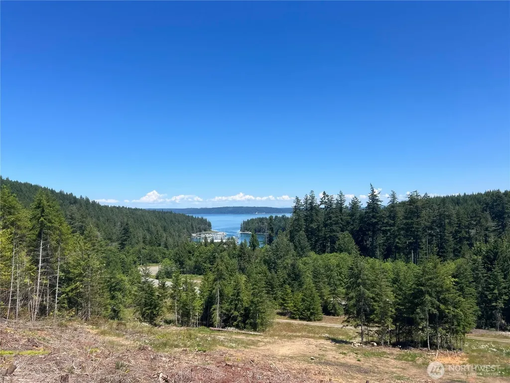 3 Mt Jupiter Road Brinnon WA 98320