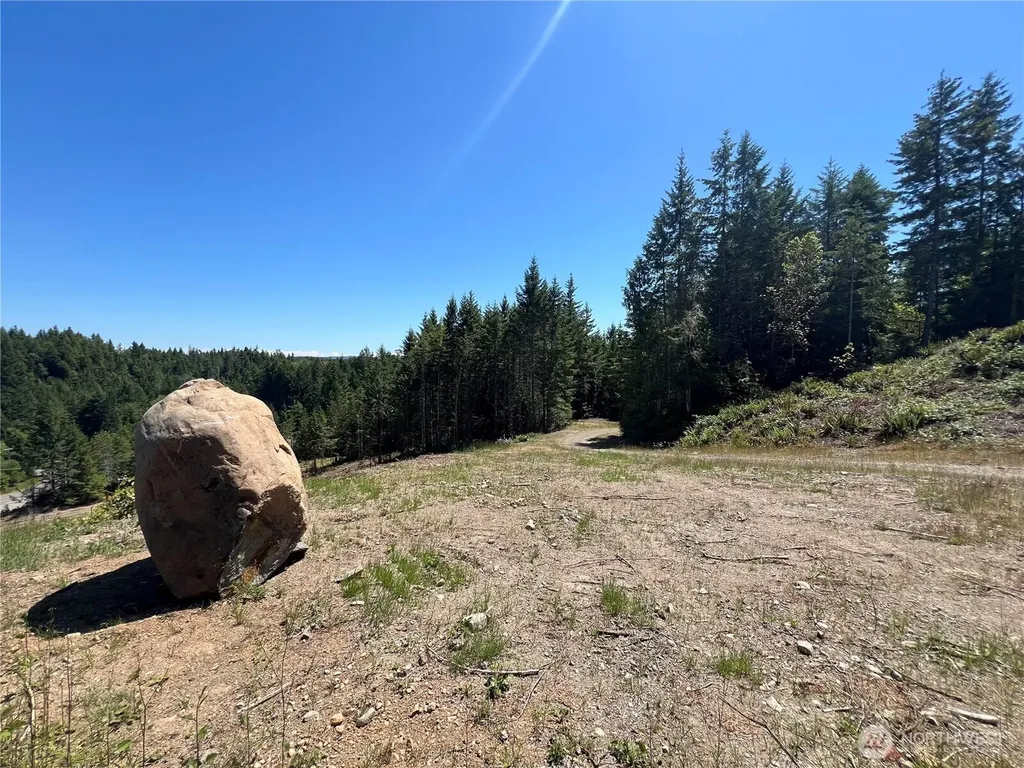 3 Mt Jupiter Road Brinnon WA 98320