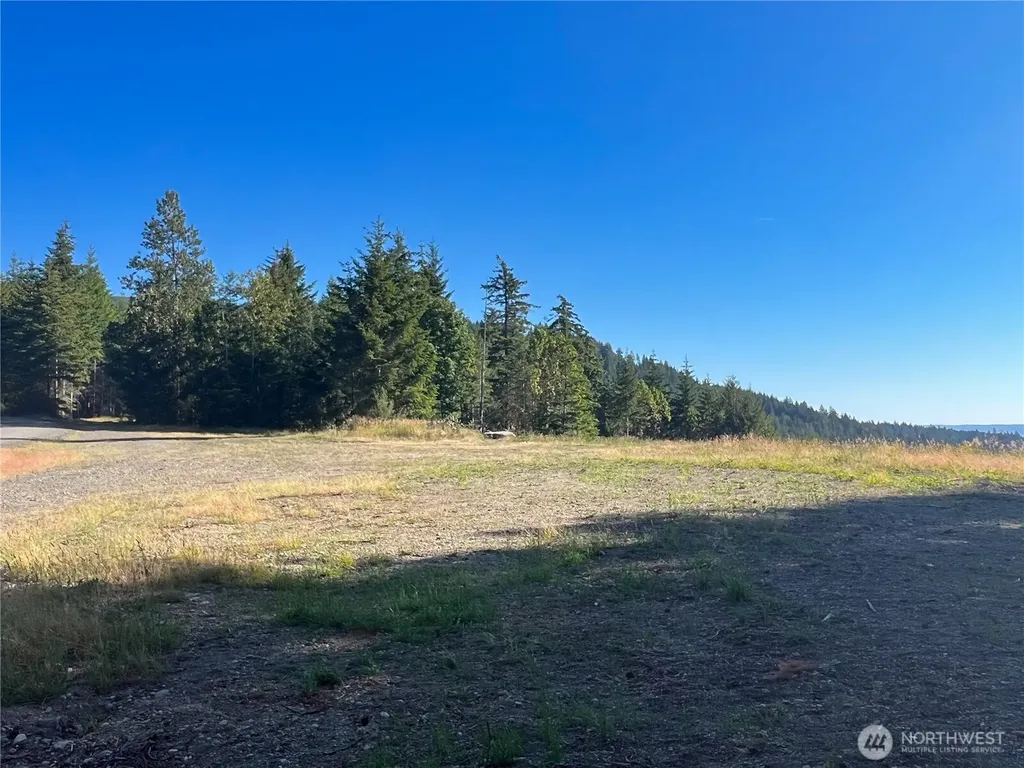3 Mt Jupiter Road Brinnon WA 98320