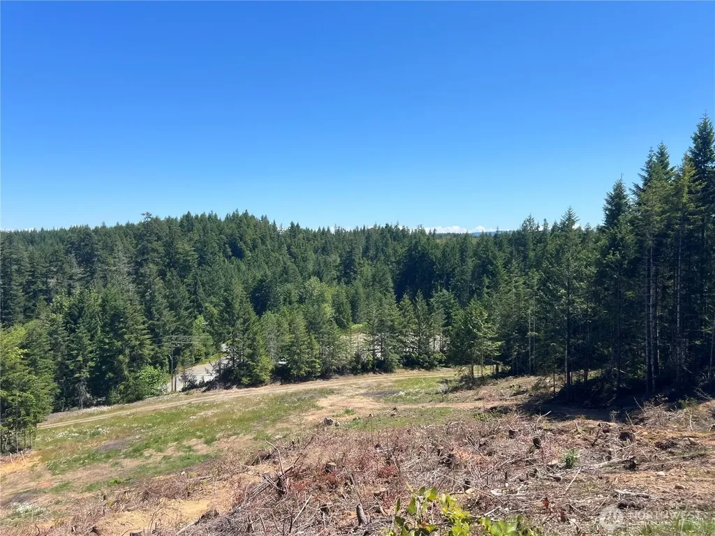3 Mt Jupiter Road Brinnon WA 98320