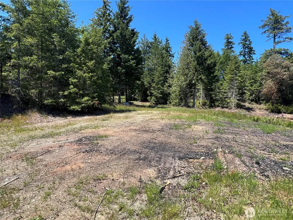 3 Mt Jupiter Road Brinnon WA 98320