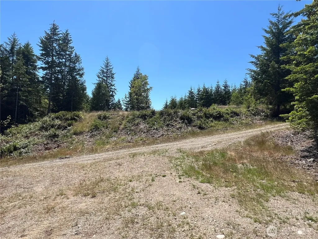 3 Mt Jupiter Road Brinnon WA 98320